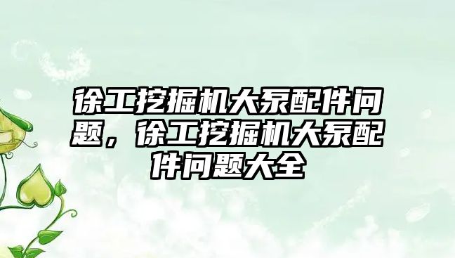 徐工挖掘機大泵配件問題，徐工挖掘機大泵配件問題大全