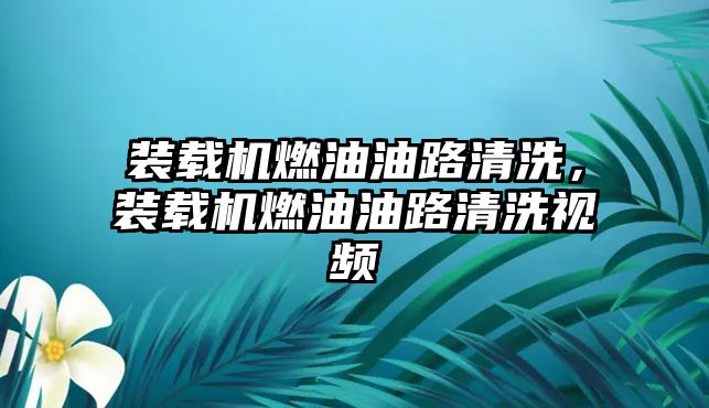 裝載機燃油油路清洗，裝載機燃油油路清洗視頻