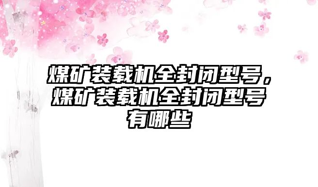 煤礦裝載機全封閉型號，煤礦裝載機全封閉型號有哪些