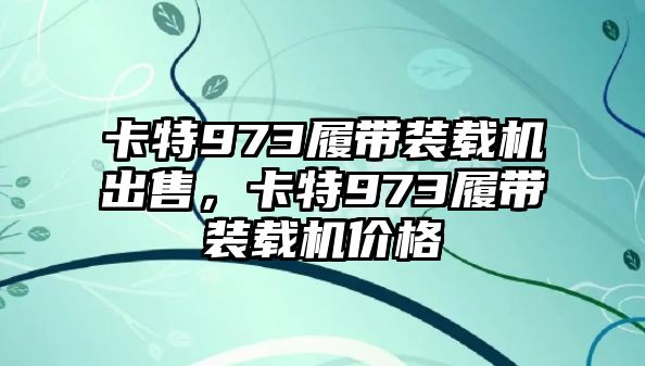 卡特973履帶裝載機(jī)出售，卡特973履帶裝載機(jī)價(jià)格