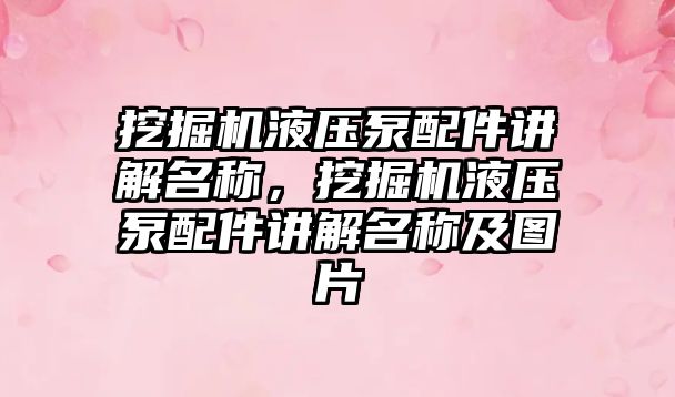 挖掘機液壓泵配件講解名稱，挖掘機液壓泵配件講解名稱及圖片