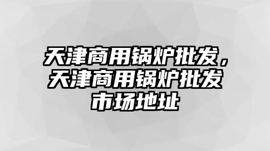 天津商用鍋爐批發(fā)，天津商用鍋爐批發(fā)市場地址