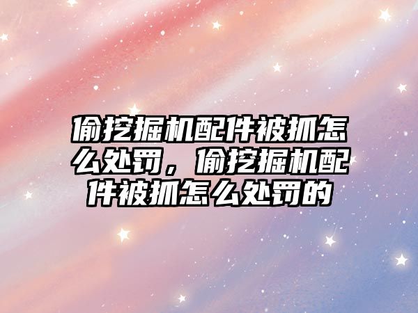 偷挖掘機配件被抓怎么處罰，偷挖掘機配件被抓怎么處罰的