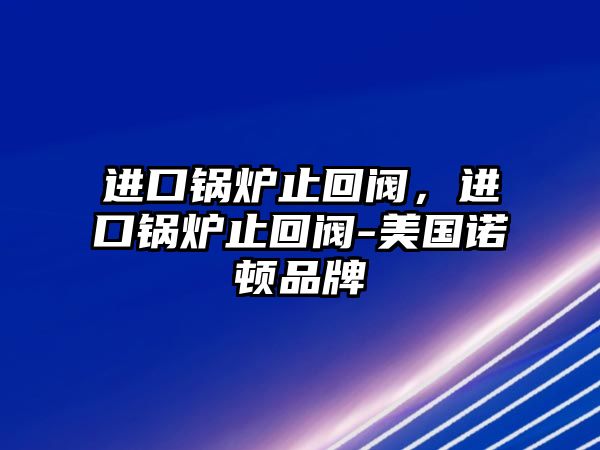 進(jìn)口鍋爐止回閥，進(jìn)口鍋爐止回閥-美國(guó)諾頓品牌