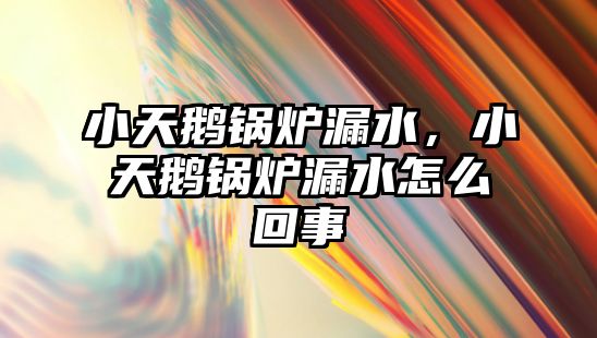 小天鵝鍋爐漏水，小天鵝鍋爐漏水怎么回事