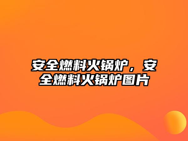 安全燃料火鍋爐，安全燃料火鍋爐圖片