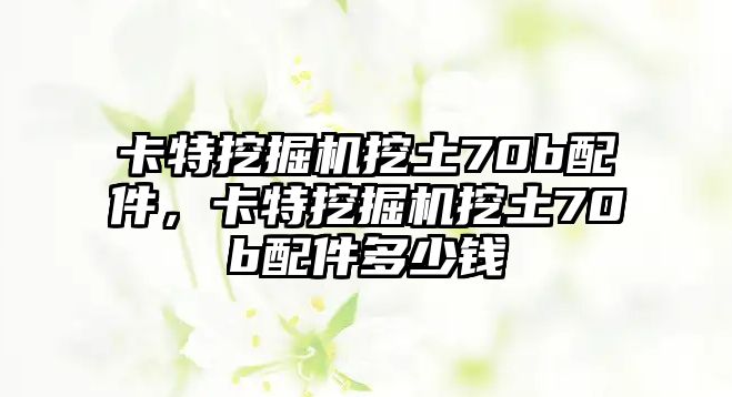 卡特挖掘機(jī)挖土70b配件，卡特挖掘機(jī)挖土70b配件多少錢