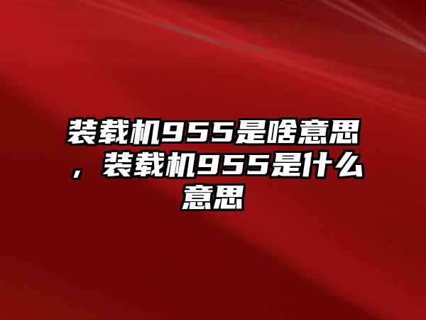 裝載機(jī)955是啥意思，裝載機(jī)955是什么意思