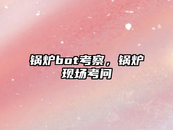 鍋爐bot考察，鍋爐現(xiàn)場考問