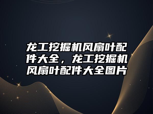 龍工挖掘機風(fēng)扇葉配件大全，龍工挖掘機風(fēng)扇葉配件大全圖片