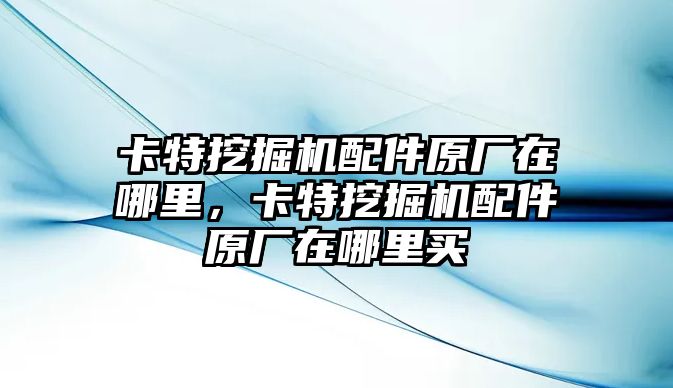 卡特挖掘機配件原廠在哪里，卡特挖掘機配件原廠在哪里買