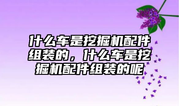 什么車是挖掘機(jī)配件組裝的，什么車是挖掘機(jī)配件組裝的呢