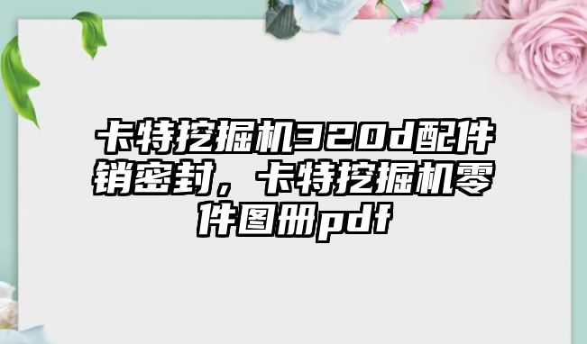 卡特挖掘機320d配件銷密封，卡特挖掘機零件圖冊pdf