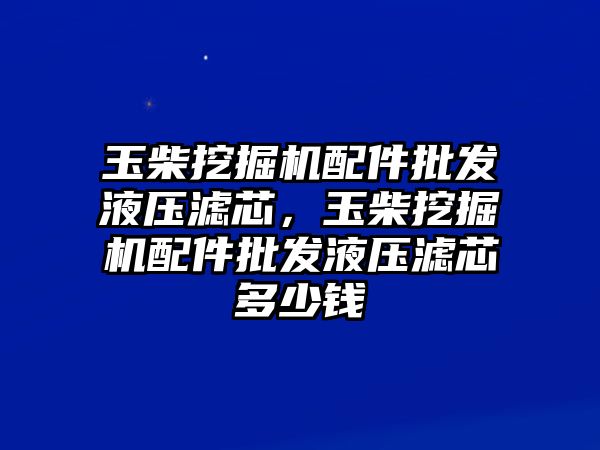 玉柴挖掘機(jī)配件批發(fā)液壓濾芯，玉柴挖掘機(jī)配件批發(fā)液壓濾芯多少錢(qián)