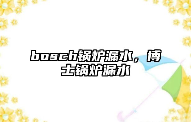 bosch鍋爐漏水，博士鍋爐漏水