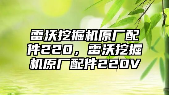 雷沃挖掘機原廠配件220，雷沃挖掘機原廠配件220V