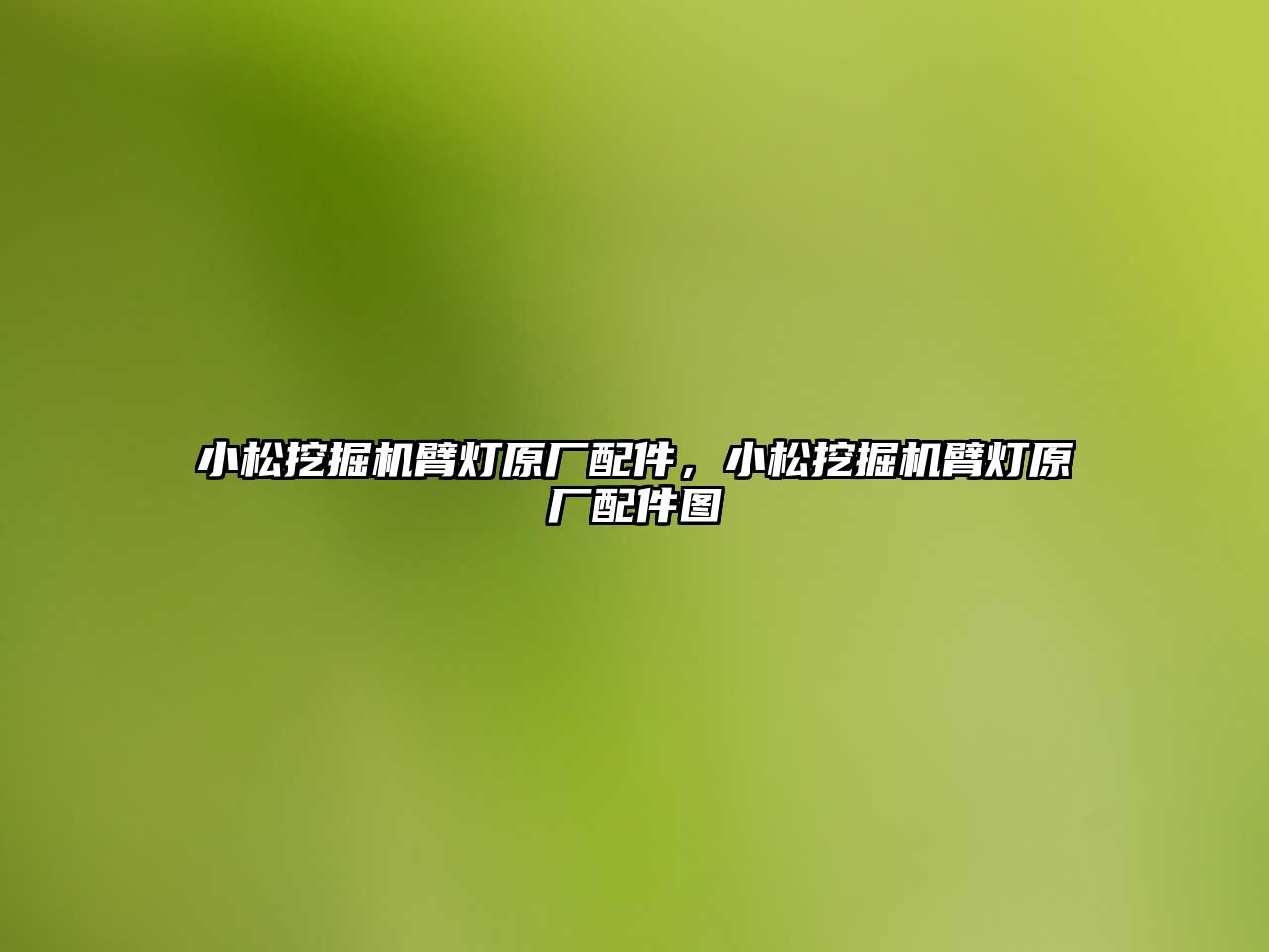 小松挖掘機臂燈原廠配件，小松挖掘機臂燈原廠配件圖