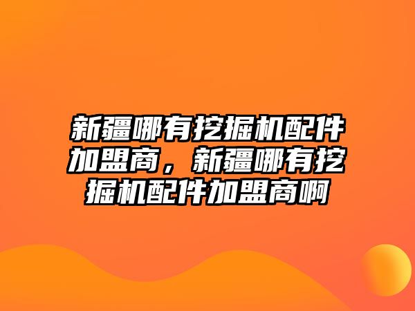 新疆哪有挖掘機配件加盟商，新疆哪有挖掘機配件加盟商啊