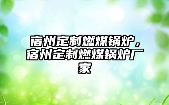 宿州定制燃煤鍋爐，宿州定制燃煤鍋爐廠家