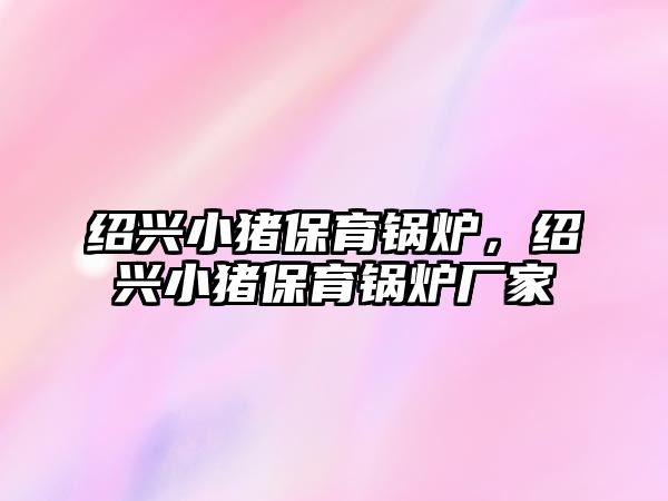 紹興小豬保育鍋爐，紹興小豬保育鍋爐廠家