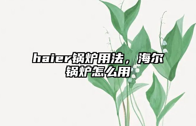 haier鍋爐用法，海爾鍋爐怎么用