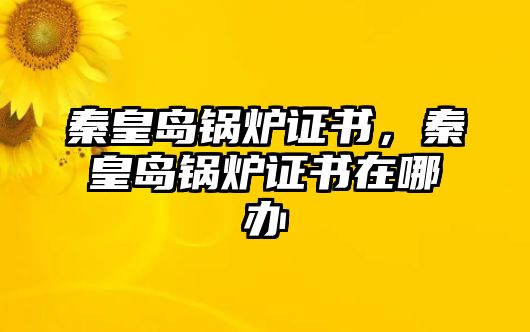 秦皇島鍋爐證書，秦皇島鍋爐證書在哪辦