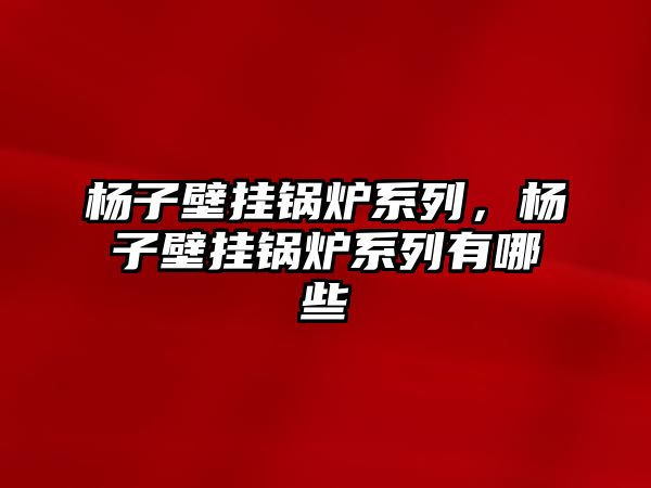 楊子壁掛鍋爐系列，楊子壁掛鍋爐系列有哪些