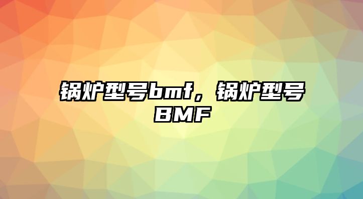 鍋爐型號bmf，鍋爐型號BMF