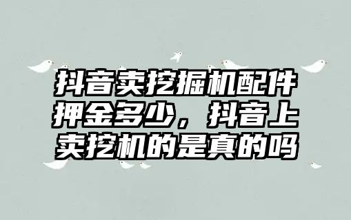 抖音賣挖掘機配件押金多少，抖音上賣挖機的是真的嗎