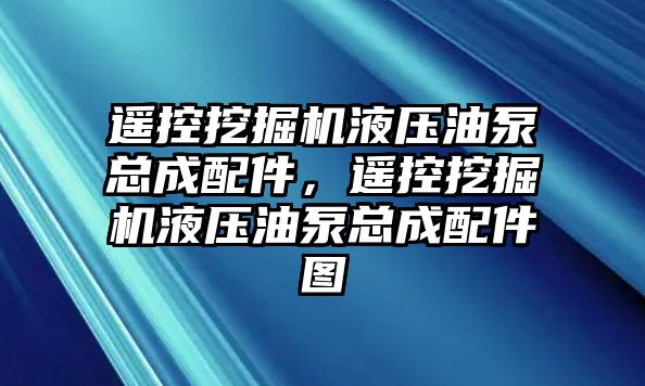 遙控挖掘機液壓油泵總成配件，遙控挖掘機液壓油泵總成配件圖