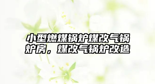 小型燃煤鍋爐煤改氣鍋爐房，煤改氣鍋爐改造