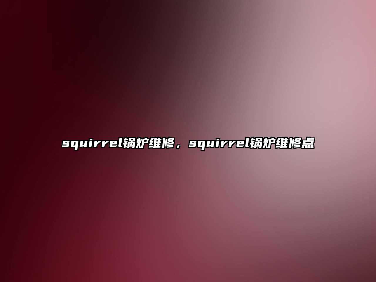 squirrel鍋爐維修，squirrel鍋爐維修點(diǎn)