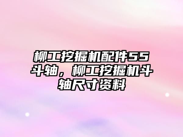 柳工挖掘機(jī)配件55斗軸，柳工挖掘機(jī)斗軸尺寸資料