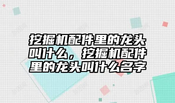 挖掘機(jī)配件里的龍頭叫什么，挖掘機(jī)配件里的龍頭叫什么名字