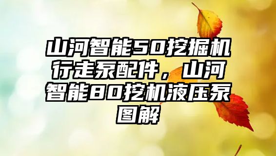 山河智能50挖掘機行走泵配件，山河智能80挖機液壓泵圖解