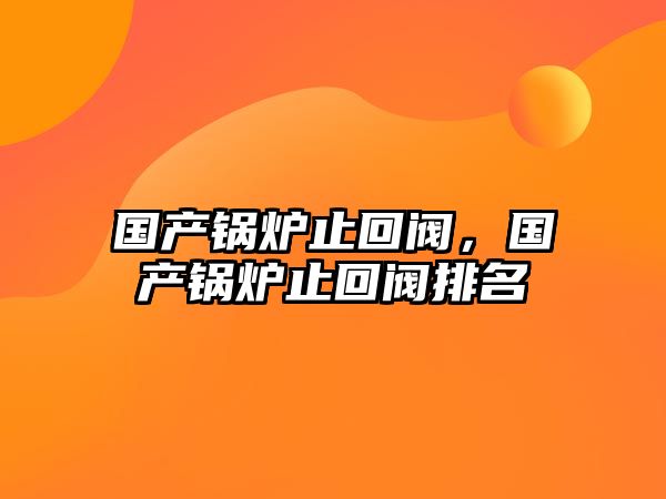 國產(chǎn)鍋爐止回閥，國產(chǎn)鍋爐止回閥排名