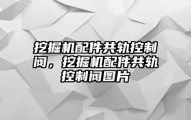 挖掘機(jī)配件共軌控制閥，挖掘機(jī)配件共軌控制閥圖片