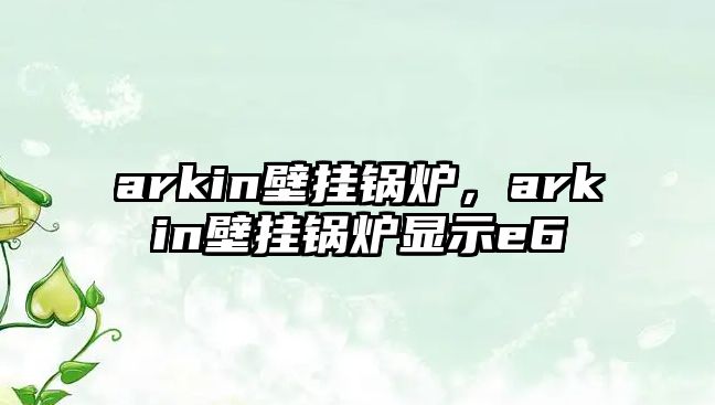 arkin壁掛鍋爐，arkin壁掛鍋爐顯示e6