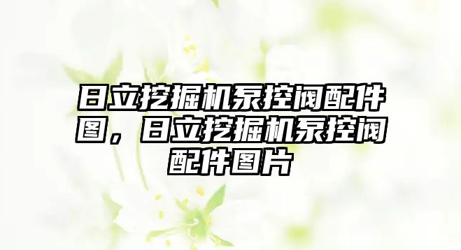 日立挖掘機泵控閥配件圖，日立挖掘機泵控閥配件圖片