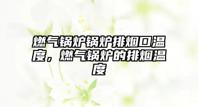 燃?xì)忮仩t鍋爐排煙口溫度，燃?xì)忮仩t的排煙溫度