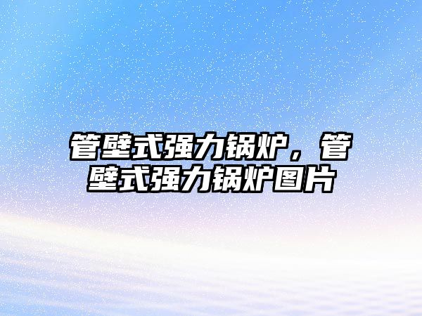 管壁式強(qiáng)力鍋爐，管壁式強(qiáng)力鍋爐圖片