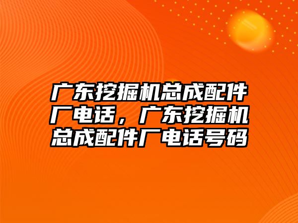 廣東挖掘機總成配件廠電話，廣東挖掘機總成配件廠電話號碼