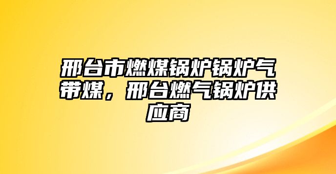 邢臺市燃煤鍋爐鍋爐氣帶煤，邢臺燃?xì)忮仩t供應(yīng)商