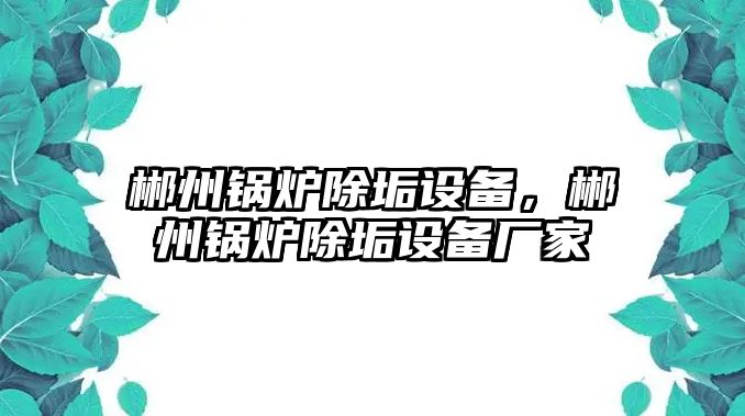 郴州鍋爐除垢設(shè)備，郴州鍋爐除垢設(shè)備廠家