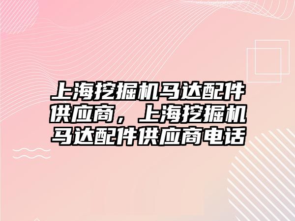 上海挖掘機馬達配件供應商，上海挖掘機馬達配件供應商電話