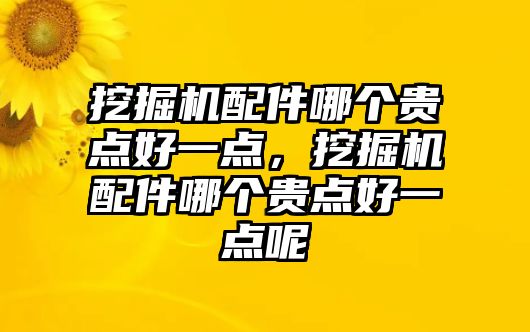 挖掘機配件哪個貴點好一點，挖掘機配件哪個貴點好一點呢