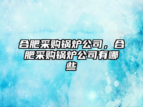 合肥采購鍋爐公司，合肥采購鍋爐公司有哪些