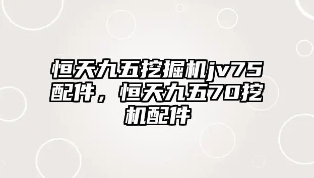 恒天九五挖掘機(jī)jv75配件，恒天九五70挖機(jī)配件