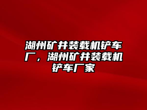 湖州礦井裝載機(jī)鏟車廠，湖州礦井裝載機(jī)鏟車廠家