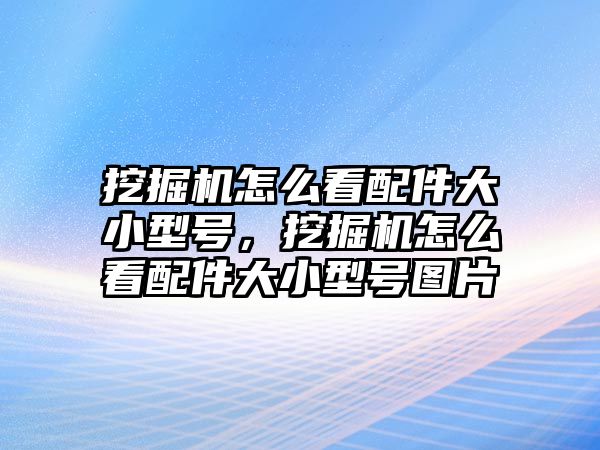 挖掘機怎么看配件大小型號，挖掘機怎么看配件大小型號圖片